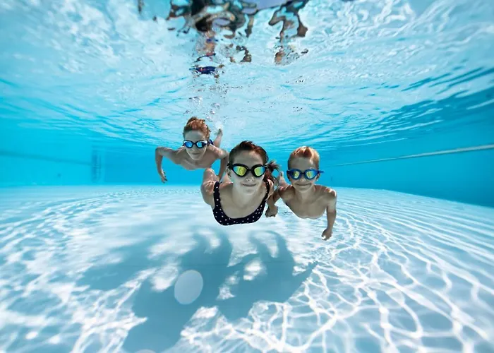 酒店 码头酒店 4*